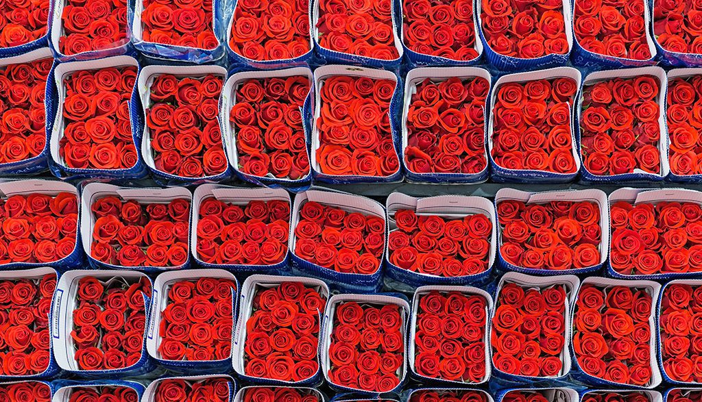 Wholesalers and Importers Expect Tight Holiday Supply