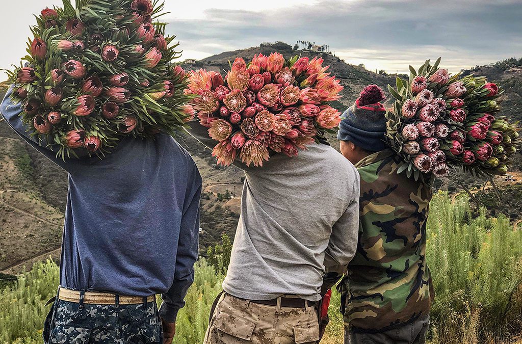 California Suppliers Share Challenges, Opportunities