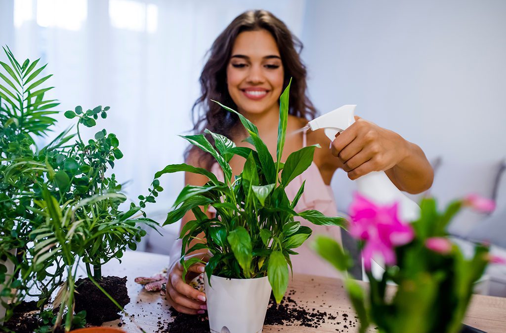 Tap Into Plant Power