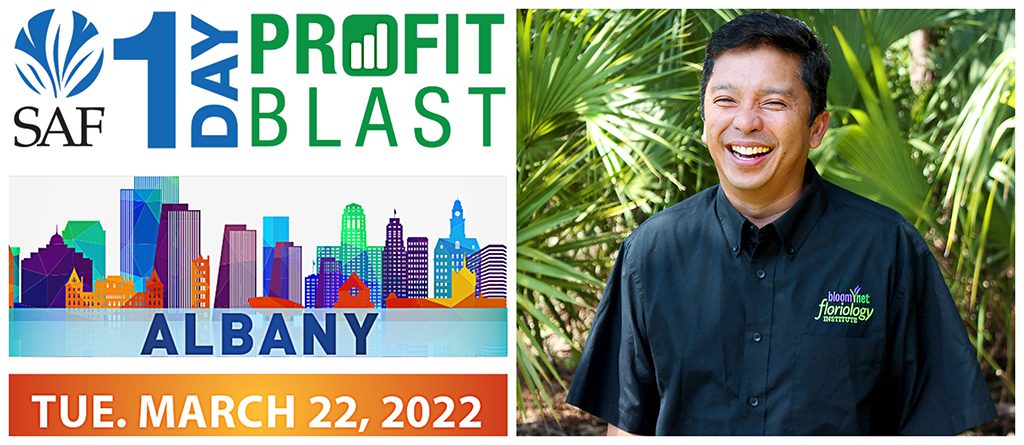 Profit Blast Preview: Optimize Your Online Performance