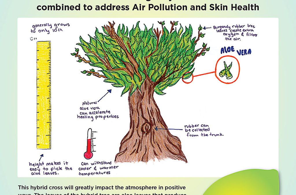 Seed Your Future’s Contest Shows Children the Power of Plants