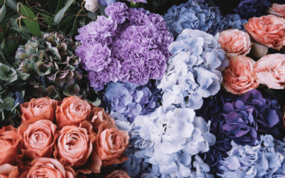 Plug Into the Power of AI in Miami