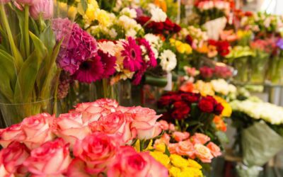 2024 Floral Sales ‘Okay’, Up from 2019