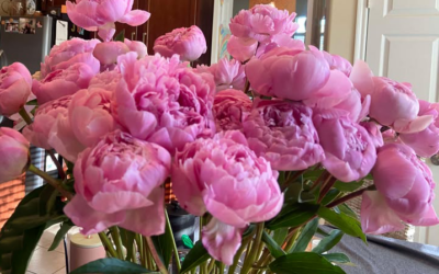 Floral Community Delivers a ‘Miracle’ to Texas Woman 