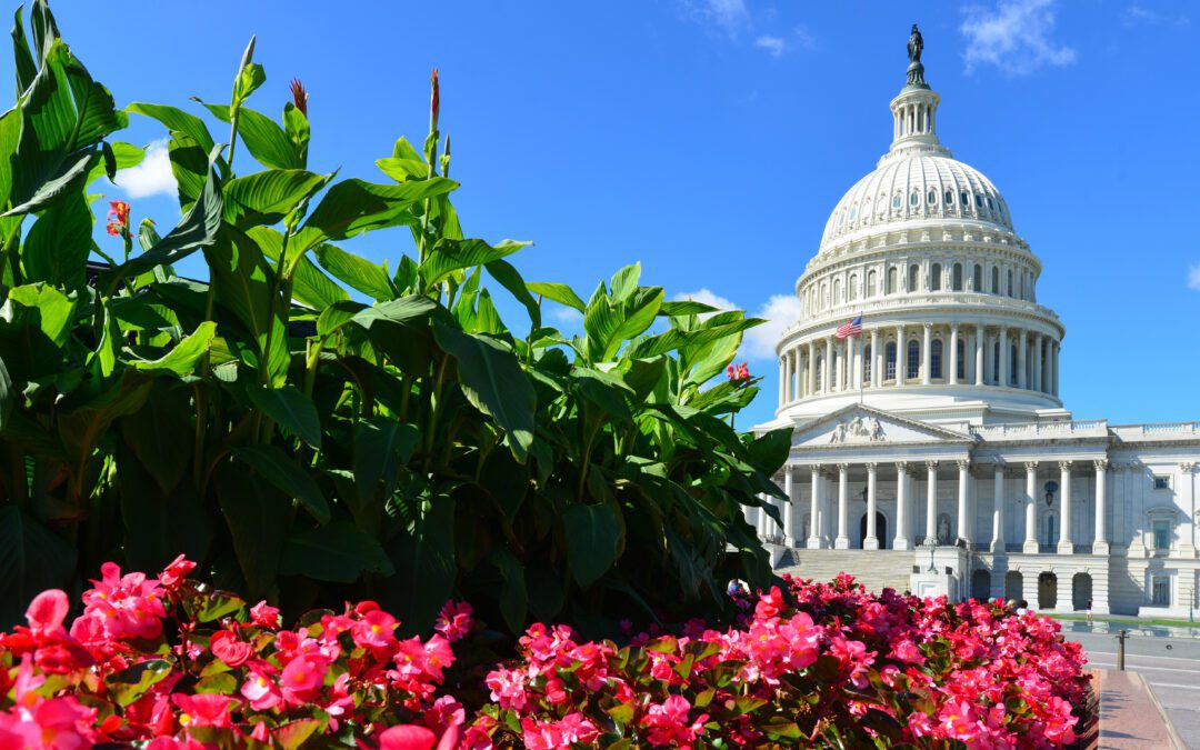 SAF Advocacy Yields Big Wins in Washington 