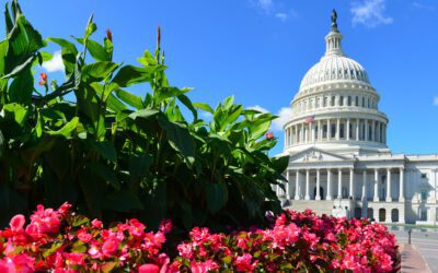 SAF Advocacy Yields Big Wins in Washington 