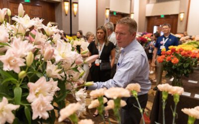 Education, Innovation and Community Await in Phoenix 