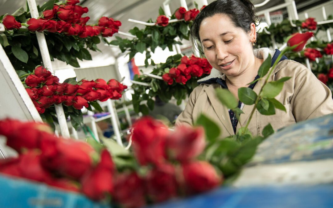 Colombian Farms Advance Gender Equity 