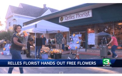 Make Headlines With Petal It Forward  