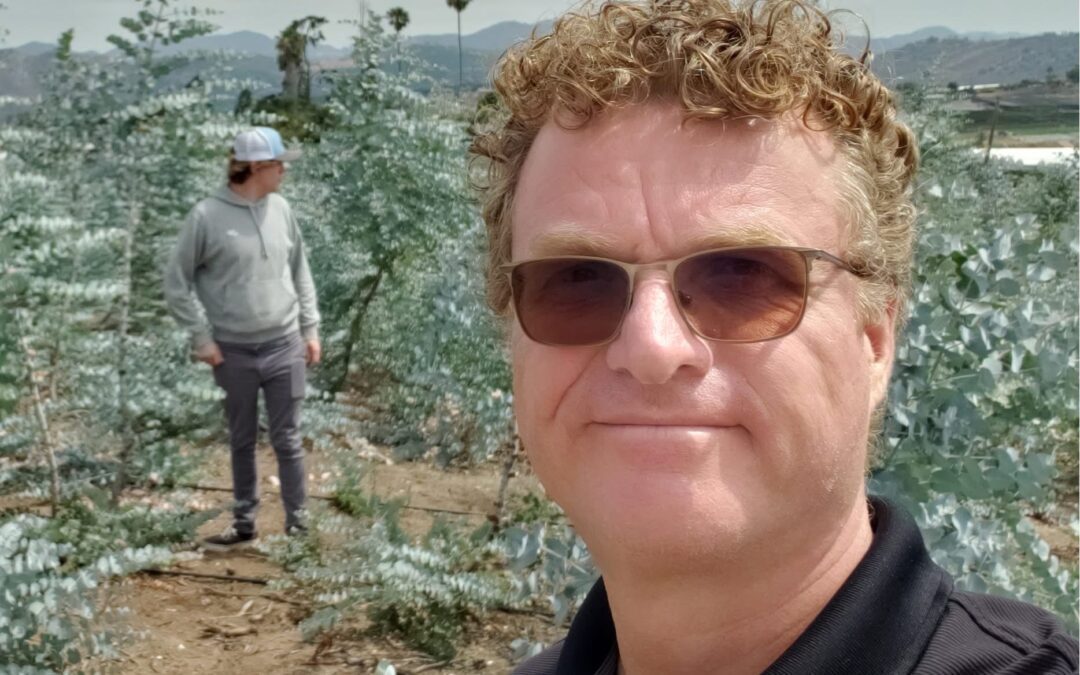 The Pivot Point: Building a Business on Risk and Resilience