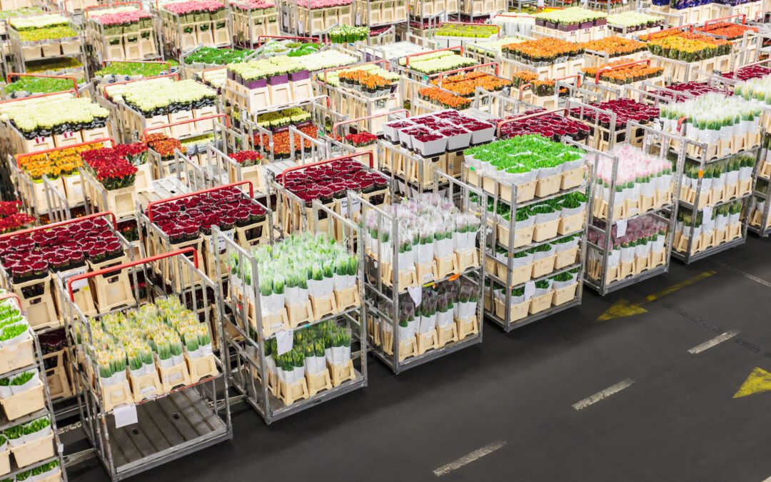 Executive Order Could Open Door to Duty-Free Flowers 