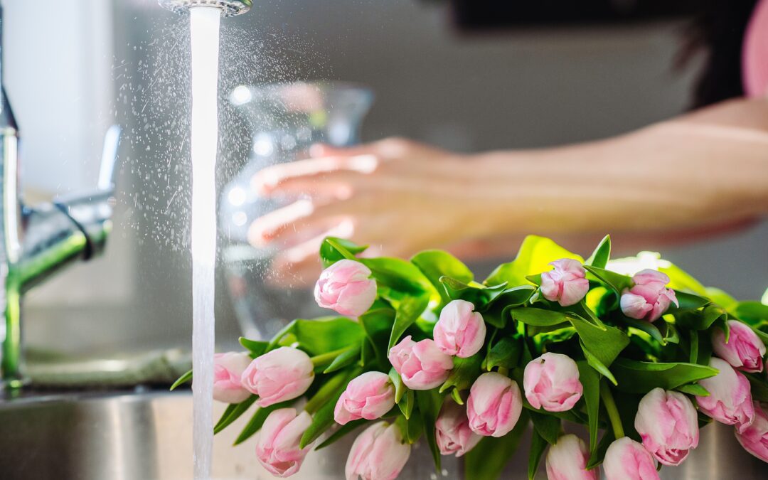 Debunk Care and Handling Myths to Boost Vase Life 