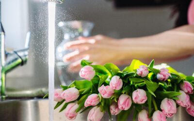 Debunk Care and Handling Myths to Boost Vase Life 