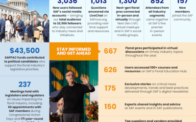 2025 in Review: SAF’s Big Wins