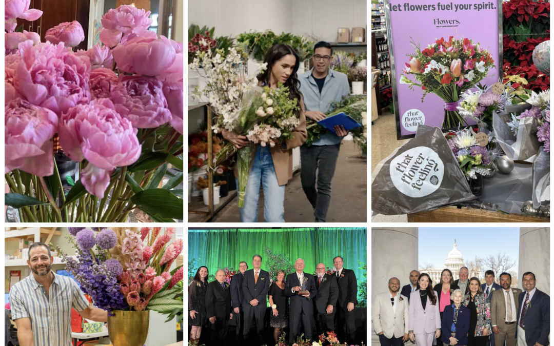 2025 in Review: 10 Themes That Defined the Year